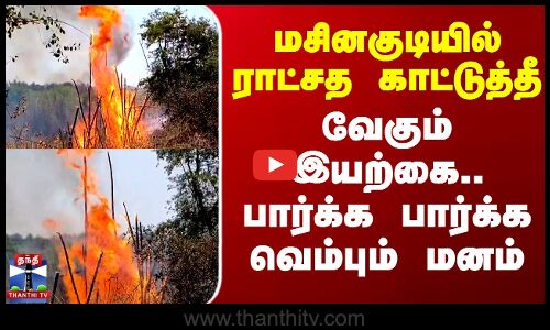 மசினகுடியில் ராட்சத காட்டுத்தீ - வேகும் இயற்கை.. பார்க்க பார்க்க வெம்பும் மனம்