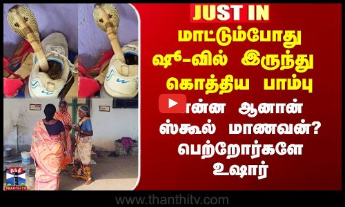 மாட்டும்போது ஷூ-வில் இருந்து  கொத்திய பாம்பு - என்ன ஆனான் ஸ்கூல் மாணவன்?