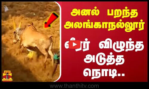 அனல் பறந்த அலங்காநல்லூர்.. வீரர் விழுந்த அடுத்த நொடி.. | Jallikattu 2024 | Pongal