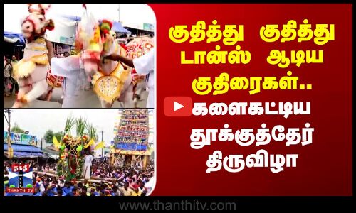 குதித்து குதித்து டான்ஸ் ஆடிய குதிரைகள்.. களைகட்டிய தூக்குத்தேர் திருவிழா