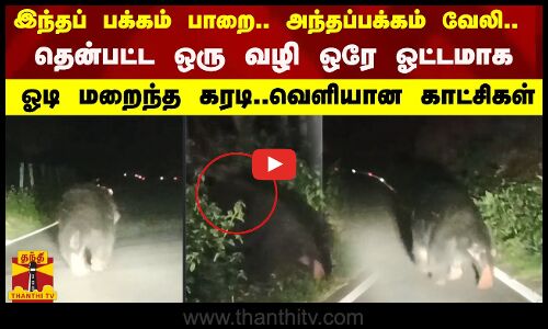 இந்தப் பக்கம் பாறை... அந்தப்பக்கம் வேலி...தென்பட்ட ஒரு வழி ஒரே ஓட்டமாக ஓடி மறைந்த கரடி..