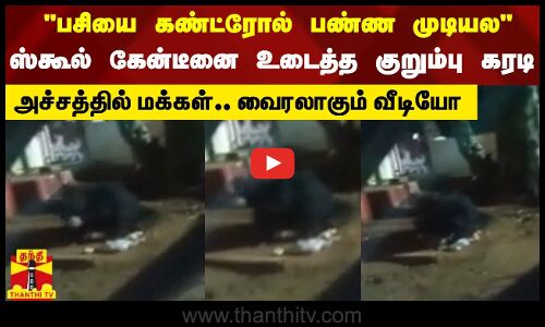 பசியை கண்ட்ரோல் பண்ண முடியலஸ்கூல் கேன்டீனை உடைத்த குறும்பு கரடி.அச்சத்தில் மக்கள் வைரலாகும் வீடியோ