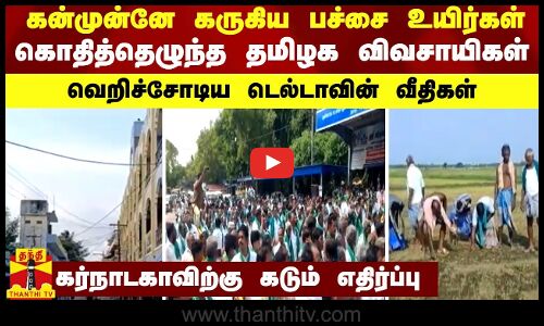 கன்முன்னே கருகிய பச்சை உயிர்கள்... கொதித்தெழுந்த தமிழக விவசாயிகள் - வெறிச்சோடிய டெல்டாவின் வீதிகள்