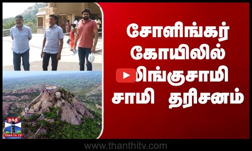 சோளிங்கர் கோயிலில் லிங்குசாமி சாமி தரிசனம்