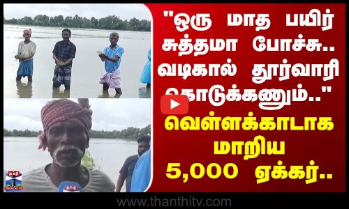 Heavy Rain | Flood | Thiruvarur | ஒரு மாத பயிர் சுத்தமா போச்சு.. -வெள்ளக்காடாக மாறிய 5,000 ஏக்கர்