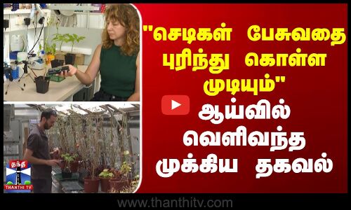 செடிகள் பேசுவதை புரிந்து கொள்ள முடியும் - ஆய்வில் வெளிவந்த முக்கிய தகவல்