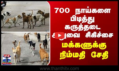 700 நாய்களை பிடித்து கருத்தடை அறுவை சிகிச்சை - மக்களுக்கு நிம்மதி சேதி