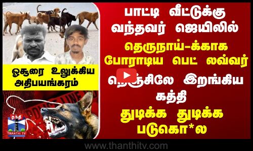 தெருநாயால் உருவான தகராறு... பெட் லவ்வர் குத்திக் கொ*ல...