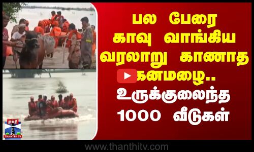 Punjab Flood | Rainfall | பல பேரை காவு வாங்கிய வரலாறு காணாத கனமழை.. உருக்குலைந்த 1000 வீடுகள்