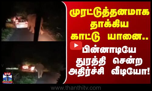 Kerala Elephant | முரட்டுத்தனமாக தாக்கிய காட்டு யானை.. பின்னாடியே துரத்தி சென்ற அதிர்ச்சி வீடியோ!