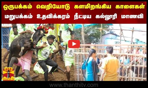 ஒருபக்கம் வெறியோடு களமிறங்கிய காளைகள்.. மறுபக்கம் உதவிக்கரம் நீட்டிய கல்லூரி மாணவி