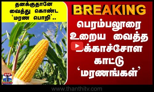 Perambalur Death | தனக்குதானே வைத்து கொண்ட `மரண பொறி’.. பெரம்பலூரில் அதிர்ச்சி பலி..