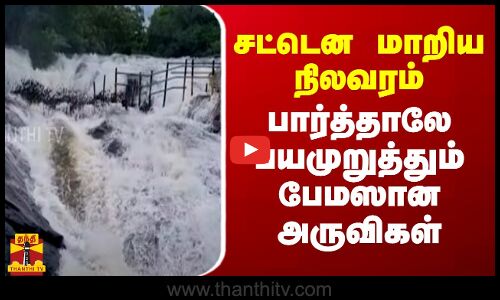 சட்டென மாறிய நிலவரம்... பார்த்தாலே பயமுறுத்தும் பேமஸான அருவிகள்