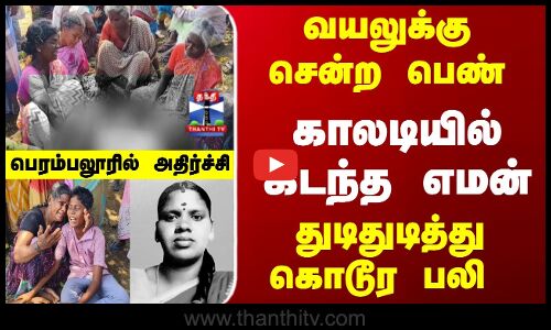 வயலுக்கு சென்ற பெண்..காலடியில் கிடந்த எமன் - துடிதுடித்து கொடூர பலி
