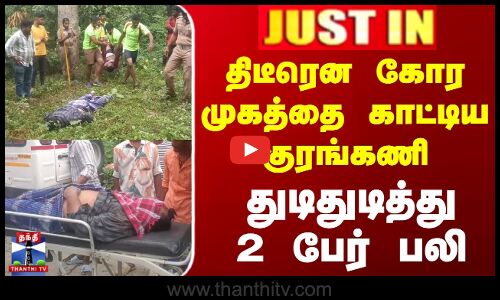 திடீரென கோர முகத்தை காட்டிய குரங்கணி - துடிதுடித்து 2 பேர் பலி