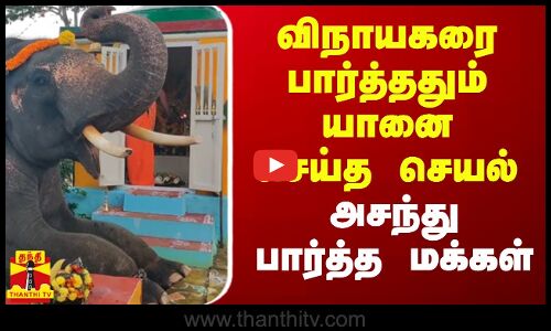 விநாயகரை பார்த்ததும் தும்பிக்கையை தூக்கி யானை செய்த செயல் - அசந்து பார்த்த மக்கள்