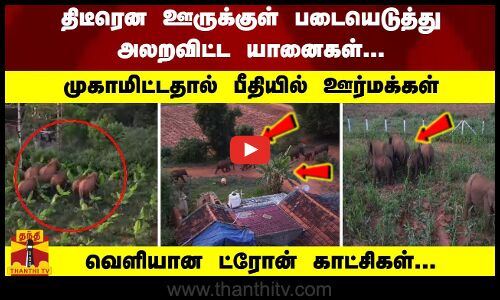 ஊருக்குள் படையெடுத்த யானைகள்... முகாமிட்டதால் பீதியில் ஊர்மக்கள்... வெளியான ட்ரோன் காட்சிகள்...