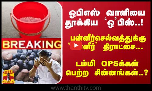 வாளியை தூக்கிய ஒபிஸ்..! பன்னீர்செல்வத்துக்கு பன்னீர் திராட்சை... டம்மி OPSக்கள் பெற்ற சின்னங்கள்..?