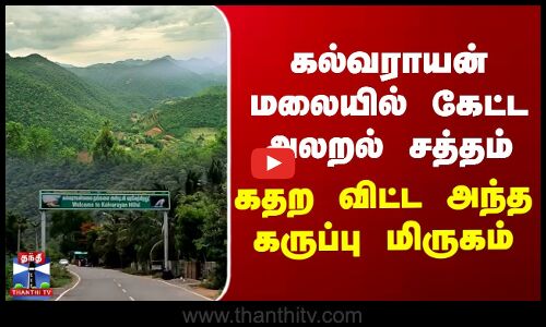 கல்வராயன் மலையில் கேட்ட அலறல் சத்தம்... கதற விட்ட அந்த கருப்பு மிருகம்