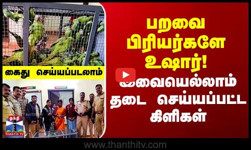 பறவை பிரியர்களே உஷார்.. இந்த கிளிகளை வாங்காதீங்க..