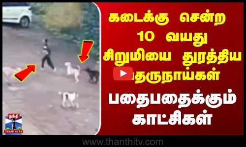 கடைக்கு சென்ற 10 வயது சிறுமியை துரத்திய தெருநாய்கள் - பதைபதைக்கும் காட்சிகள்