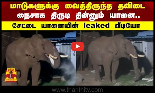 மாடுகளுக்கு வைத்திருந்த தவிடை நைசாக  திருடி தின்னும் யானை சேட்டை யானையின் leaked வீடியோ |ELEPHANT