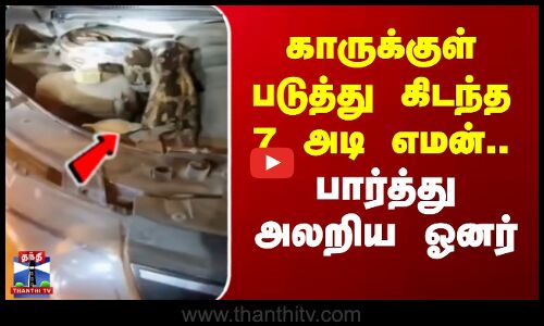 காருக்குள் படுத்து கிடந்த 7 அடி எமன்.. பார்த்து அலறிய ஓனர்