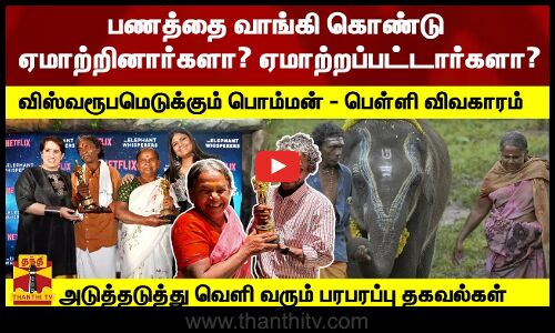 பணத்தை வாங்கி கொண்டு ஏமாற்றினார்களா? ஏமாற்றப்பட்டார்களா?விஸ்வரூபமெடுக்கும் பொம்மன் -பெள்ளி விவகாரம்