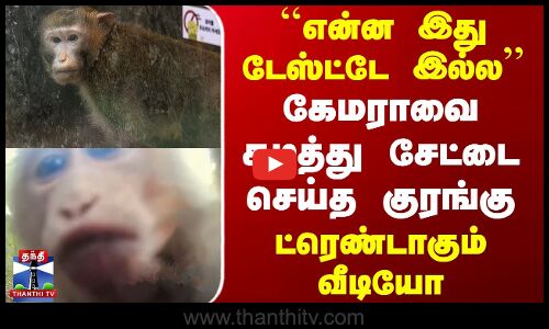 China | Monkey | ``என்ன இது டேஸ்ட்டே இல்ல.. கேமராவை கடித்து சேட்டை செய்த குரங்கு