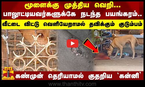 மூளைக்கு முத்திய வெறி.. பாலூட்டியவர்களுக்கே நடந்த பயங்கரம்.. கண்முன் தெரியாமல் குதறிய `கன்னி