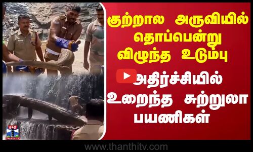 குற்றால அருவியில் தொப்பென்று விழுந்த உடும்பு... அதிர்ச்சியில் உறைந்த சுற்றுலா பயணிகள்...