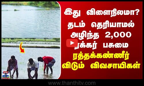 Thiruthuraipoondi | தடம் தெரியாமல் அழிந்த 2,000 ஏக்கர் பசுமை - ரத்தக்கண்ணீர் விடும் விவசாயிகள்