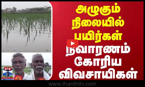 அழுகும் நிலையில் பயிர்கள் - நிவாரணம் கோரிய விவசாயிகள் | Agriculture | Farmers