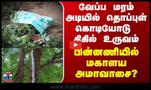Mahalaya Amavasai | வேப்ப மரம் அடியில் தொப்புள் கொடியோடு திகில் உருவம் - பின்னணியில் மகாளய அமாவாசை?