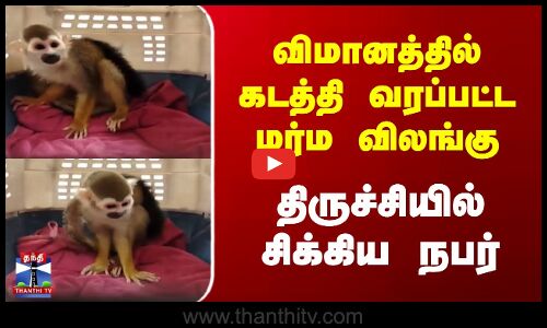 விமானத்தில் கடத்தி வரப்பட்ட மர்ம விலங்கு |  திருச்சியில் சிக்கிய நபர்