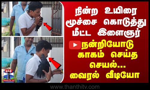 நின்ற உயிரை மூச்சை கொடுத்து மீட்ட இளைஞர் - நன்றியோடு காகம் செய்த செயல்... வைரல் வீடியோ