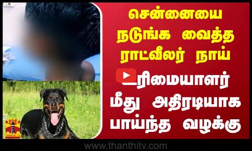 சென்னையை நடுங்க வைத்த ராட்வீலர் நாய் - உரிமையாளர் மீது அதிரடியாக பாய்ந்த வழக்கு