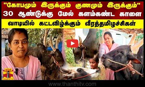 கோபமும் இருக்கும் குணமும் இருக்கும் - வாடியில் கட்டவுக்கும் வீரத்தமிழச்சிகள்