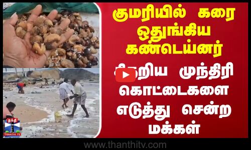 கரை ஒதுங்கிய கண்டெய்னர்.. சிதறிய முந்திரி கொட்டைகளை எடுத்து சென்ற மக்கள்