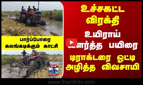 Thanjavur | Farmer | உச்சகட்ட விரக்தி... உயிராய் வளர்த்த பயிரை.. டிராக்டரை ஓட்டி அழித்த விவசாயி
