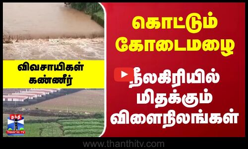 கொட்டும் கோடைமழை... மிதக்கும் விளைநிலங்கள்... விவசாயிகள் கண்ணீர்