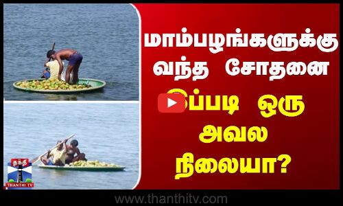 மாம்பழங்களுக்கு வந்த சோதனை - இப்படி ஒரு அவல நிலையா?
