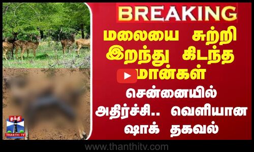 #BREAKING || மலையை சுற்றி இறந்து கிடந்த மான்கள் - சென்னையில் அதிர்ச்சி.. வெளியான ஷாக் தகவல்