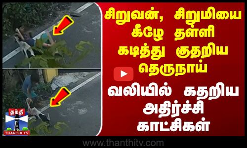 Chennai | Dog | சிறுவன், சிறுமியை கீழே தள்ளி கடித்து குதறிய தெருநாய் -வலியில் கதறிய அதிர்ச்சி காட்சி