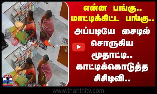 Krishnagiri | அப்படியே சைடில் சொருகிய மூதாட்டி.. காட்டிக்கொடுத்த சிசிடிவி