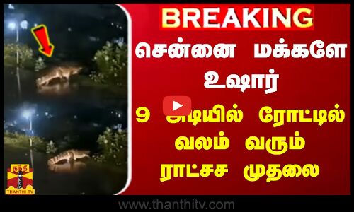 #BREAKING || சென்னை மக்களே உஷார்.. 9 அடியில் ரோட்டில் வலம் வரும் ராட்சச முதலை