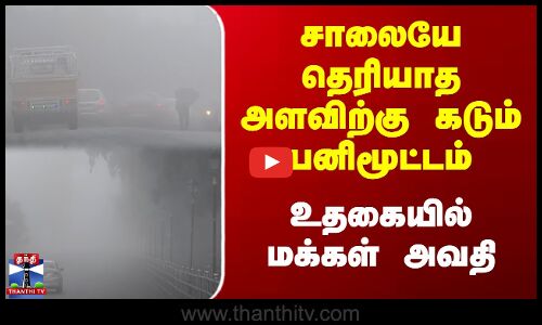 சாலையே தெரியாத அளவிற்கு கடும் பனிமூட்டம் | உதகையில் மக்கள் அவதி
