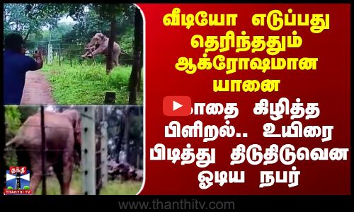 வீடியோ எடுப்பது தெரிந்ததும் ஆக்ரோஷமான யானை - வைரல் வீடியோ