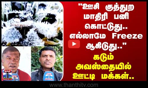 Ooty Frost | ஊசி குத்துற மாதிரி பனி கொட்டுது.. எல்லாமே Freeze ஆகிடுது.. - ஊட்டி மக்கள்..