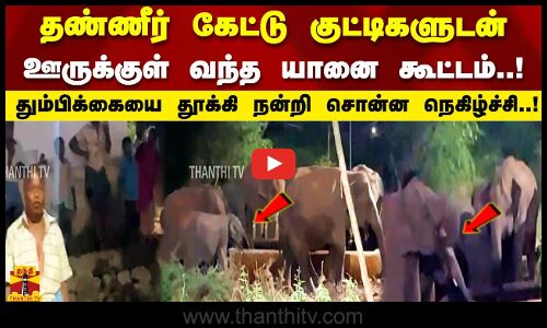 தண்ணீர் கேட்டு குட்டிகளுடன்ஊருக்குள் வந்த யானை கூட்டம்..!தும்பிக்கையை தூக்கி நன்றி சொன்ன நெகிழ்ச்சி!